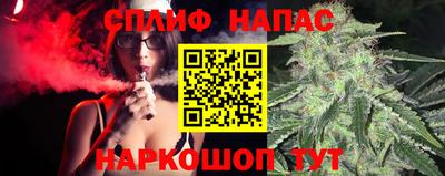 спайс Берёзовский