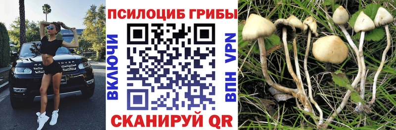 Галлюциногенные грибы Magic Shrooms Кохма