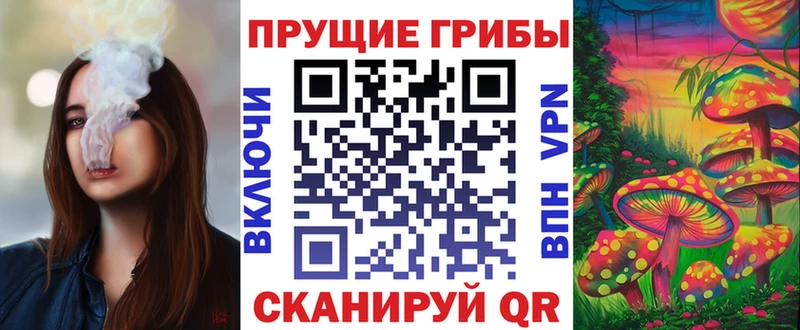 Галлюциногенные грибы Psilocybe Кохма