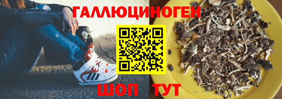 наркошоп  Галлюциногенные грибы GOLDEN TEACHER  Вход с VPN  Кохма  Галлюциногенные грибы MAGIC MUSHROOMS 