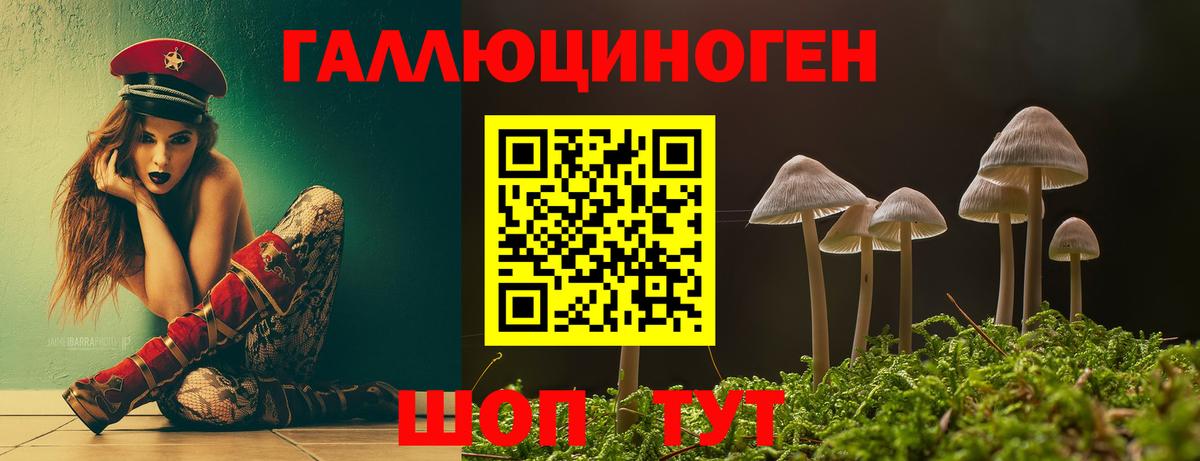 Псилоцибиновые грибы Psilocybine cubensis Кохма