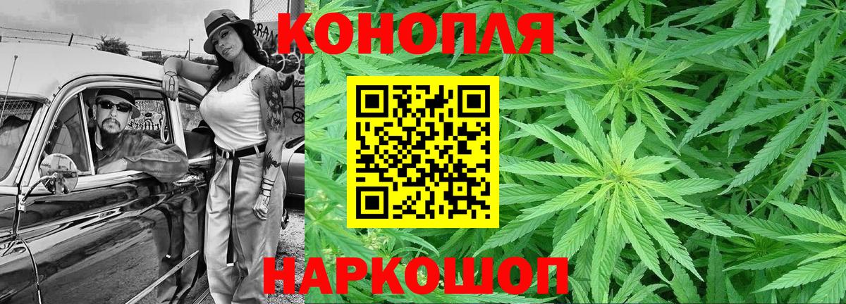 Каннабис ГИДРОПОН  Вход с VPN  Конопля конопля  Кохма  Каннабис MAZAR 
